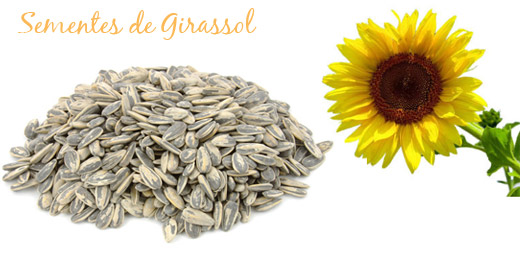 estresse-2-girassol