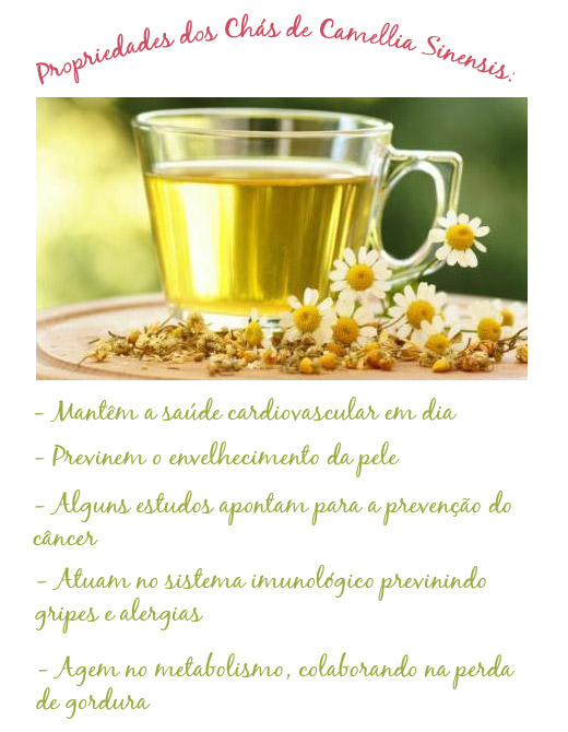 propriedades-chas
