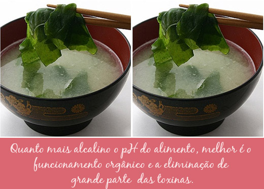 alga-kombu