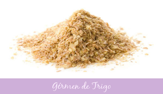 gravidez-germen-trigo